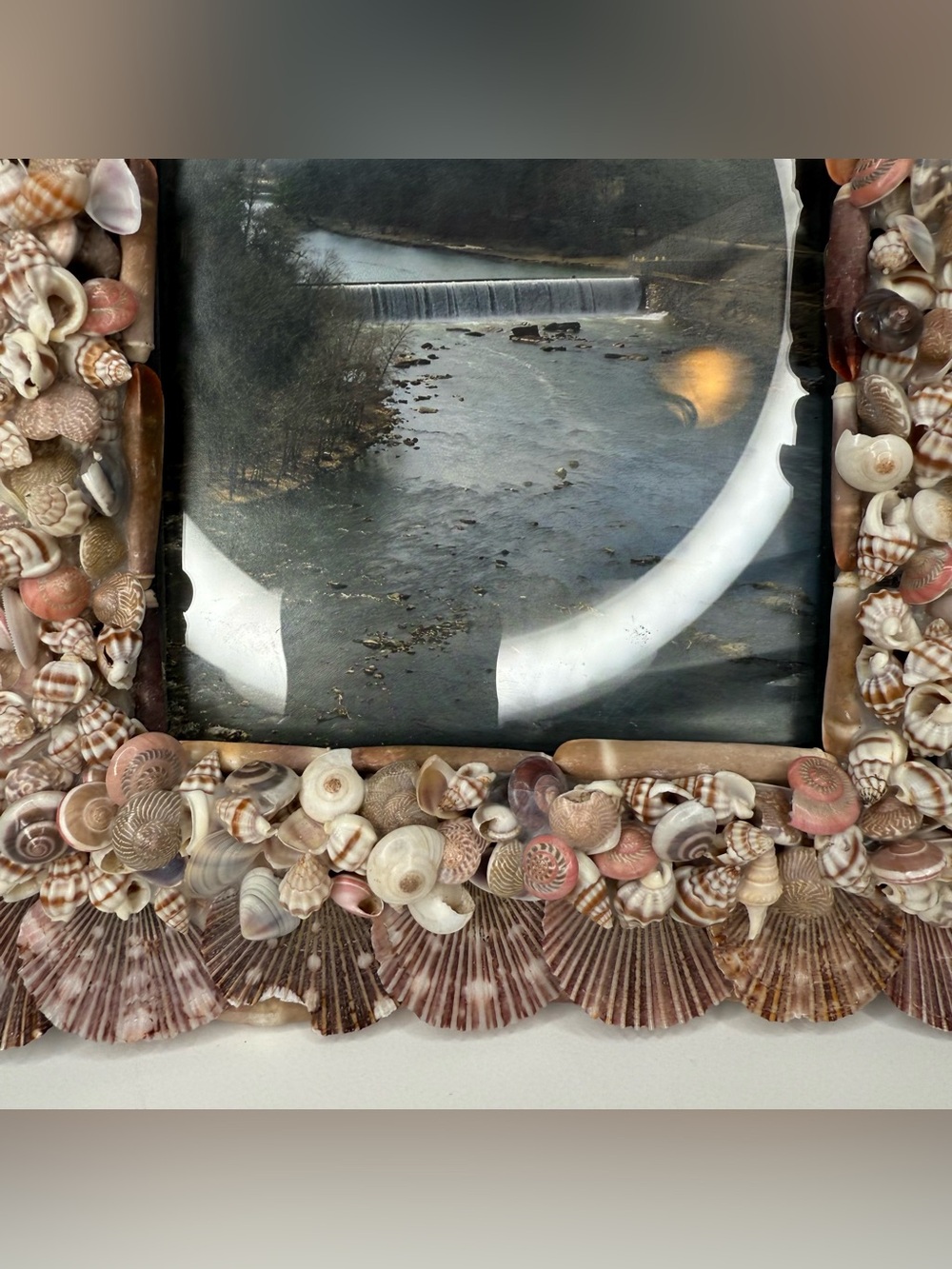 Seashell Shell Photo Picture Frame Natural Coastal Beachy Beach House Decor - Picture 10 of 16